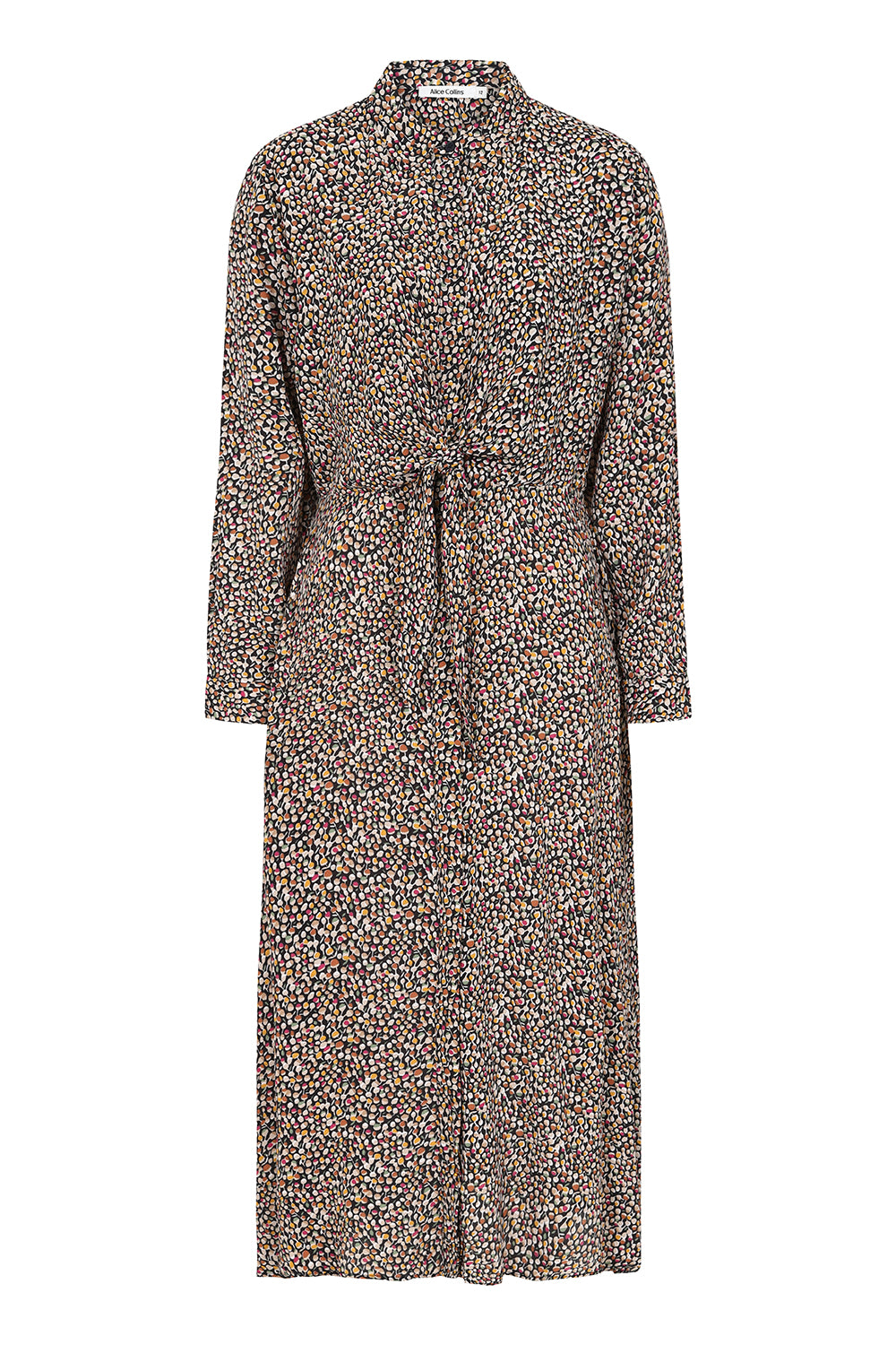 Eleanor Print Dress