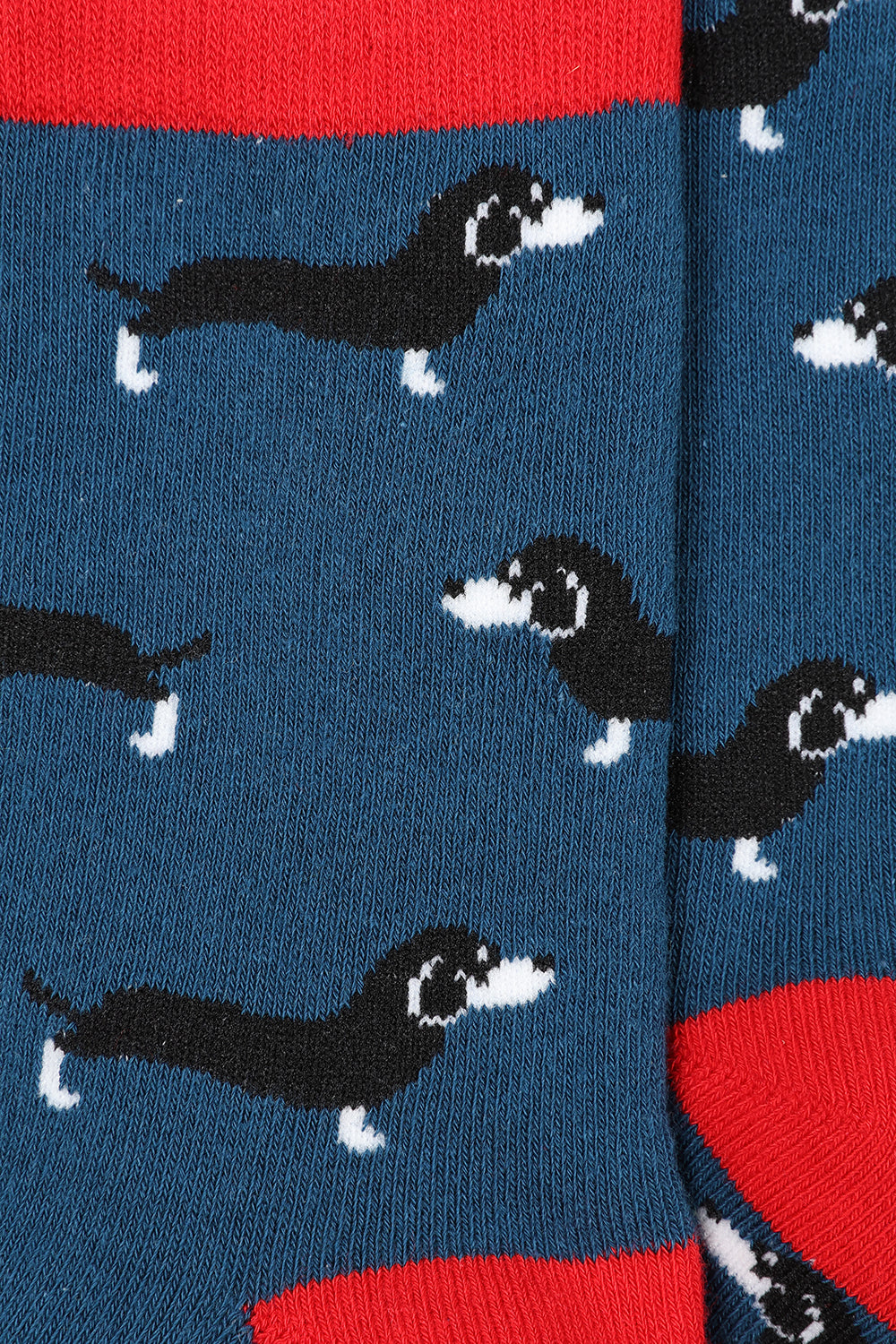 Sausage Dog Socks (3pk)